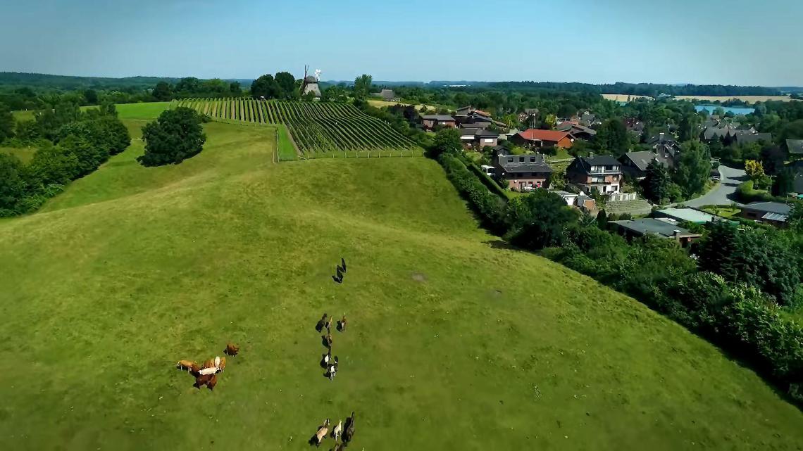 Holsteinische Schweiz_AeroMovie