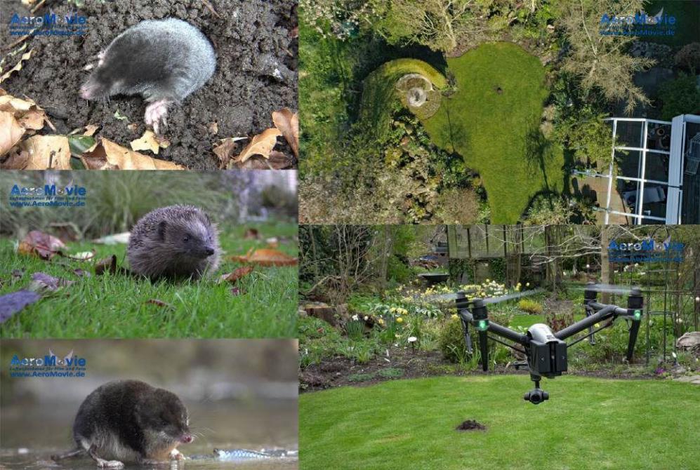 Abenteuer Erde: Alarm im Garten – Neues von Maulwurf & Co.